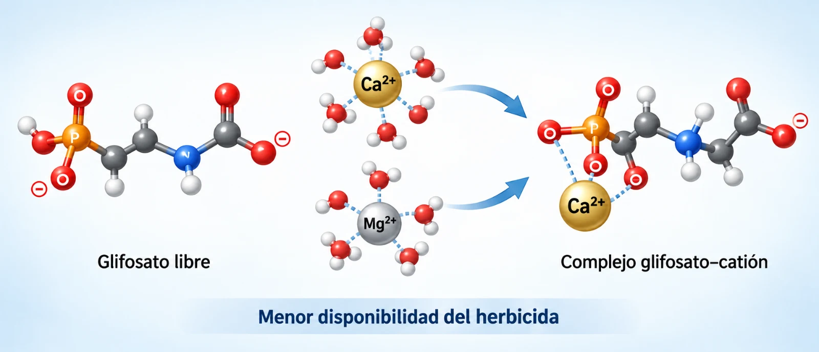 Dureza_perdida_glifosato_calcio_magnesio