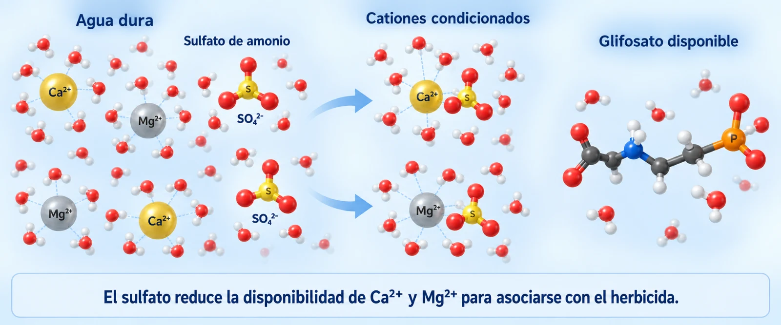 Sulfato_amonio_agua_dureza