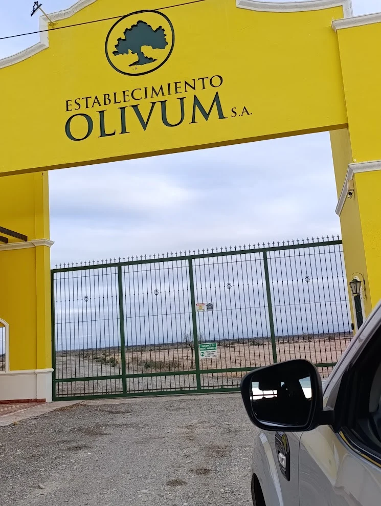 Establecimiento Olivum