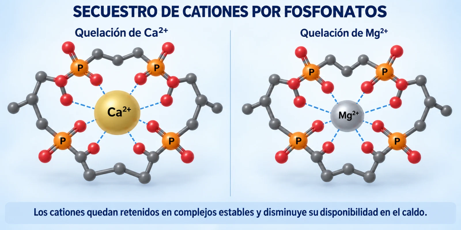Calidad_agua_dureza_fosfonato_quelación